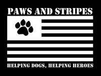 paws-strips